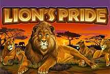 LION'S PRIDE